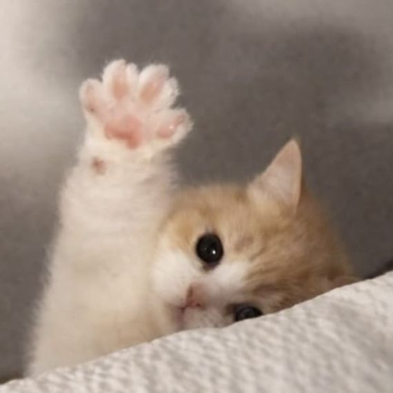 chat looking for friends 