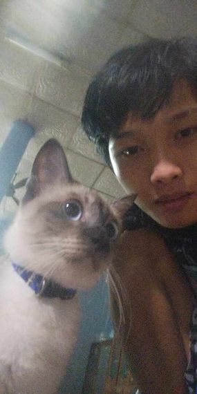 แชท หาเพื่อนคุย 