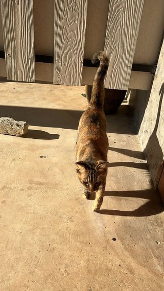 แชท หาเพื่อนคุย, หาเพื่อนไลน์  ที่อยู่  ระยอง