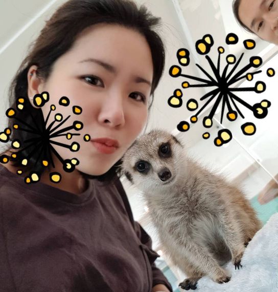 แชท หาเพื่อนคุย 
