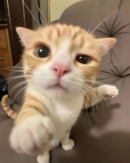 แชท หาเพื่อนคุย  ที่อยู่  ขอนแก่น