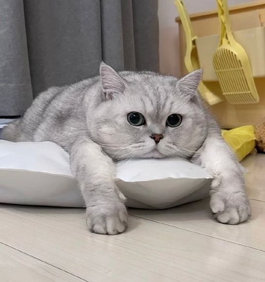 แชท หาเพื่อนคุย  ที่อยู่  สงขลา