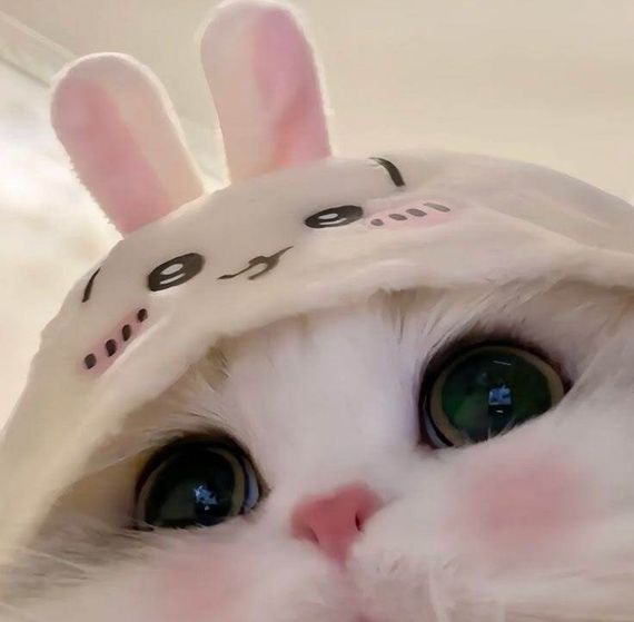 แชท หาเพื่อนคุย  ที่อยู่  ภูเก็ต