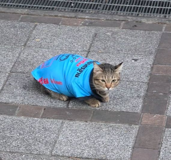 chat camera chat 