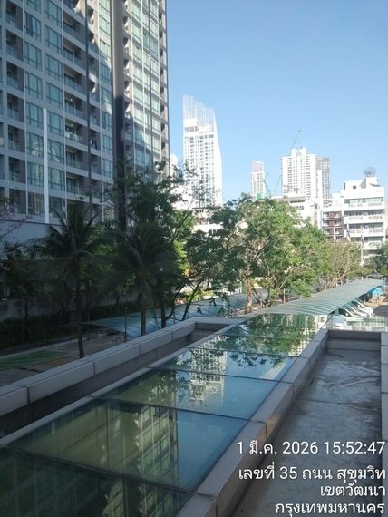 chat looking for friends 