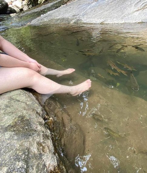 แชท หาเพื่อนคุย, โสด  ที่อยู่ กรุงเทพมหานคร