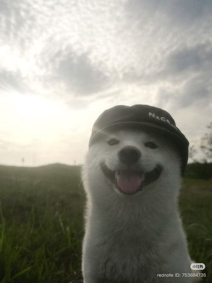 แชท หาเพื่อนคุย  ที่อยู่  นครปฐม