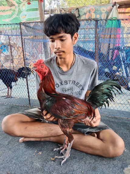 แชท หาเพื่อนคุย 