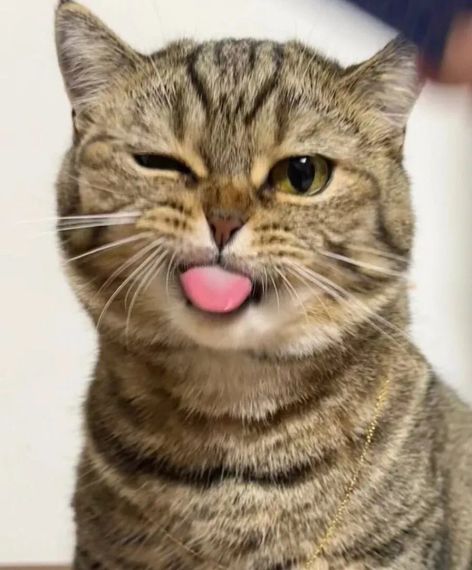 แชท หาเพื่อนคุย ที่อยู่ กรุงเทพมหานคร
