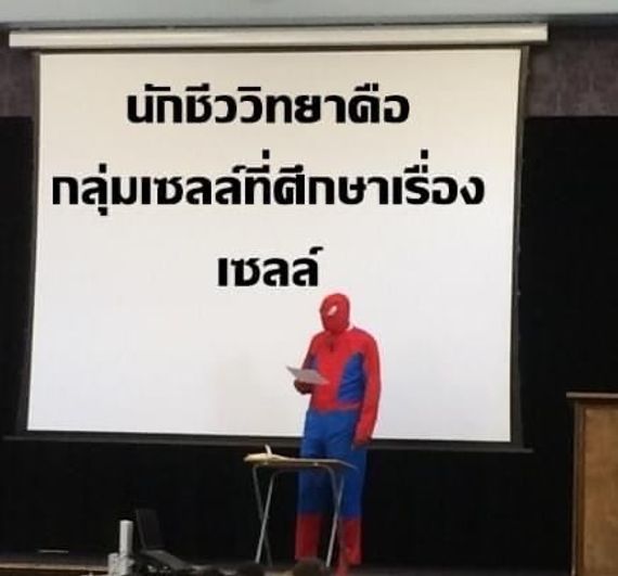 แชท หาเพื่อนคุย  ที่อยู่  พระนครศรีอยุธยา