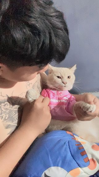 แชท หากิ๊ก 