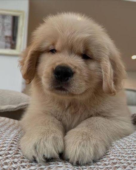 แชท หาเพื่อนคุย  ที่อยู่  เพชรบูรณ์