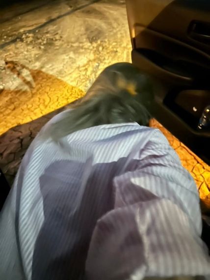 แชท หาเพื่อนคุย, หาเพื่อนเที่ยว 