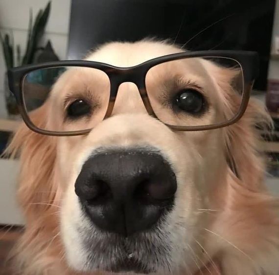 แชท หากิ๊ก, แชทเปิดกล้อง 