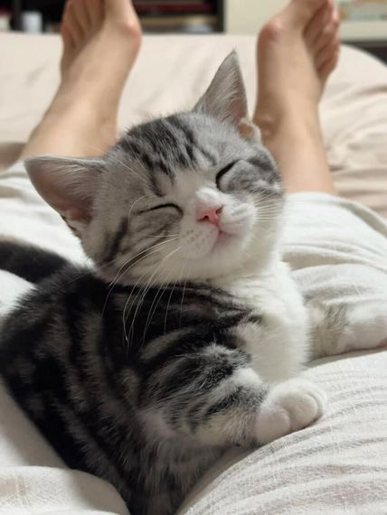 แชท หาเพื่อนคุย  ที่อยู่  นครราชสีมา