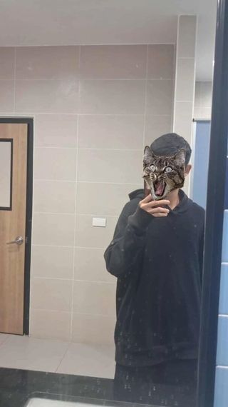 chat looking for friends