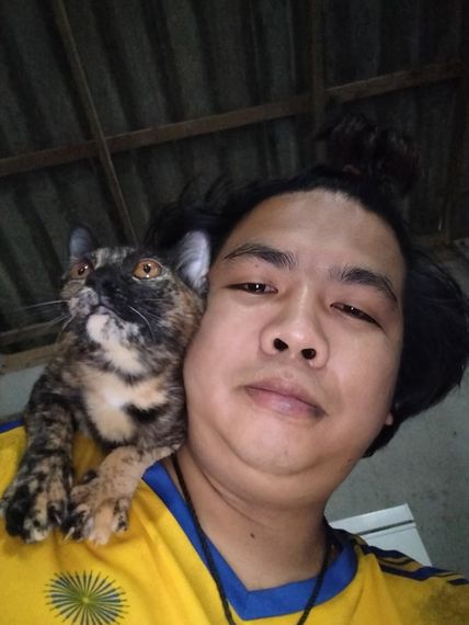 chat find love, single 