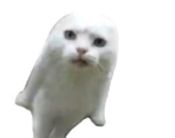 แชท หาเพื่อนคุย ที่อยู่ กรุงเทพมหานคร