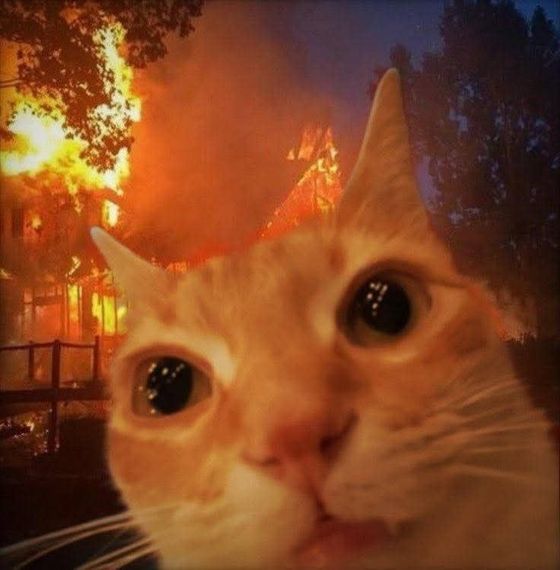 chat chat, find line friends  from Nakhon Ratchasima