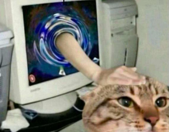 chat looking for friends 