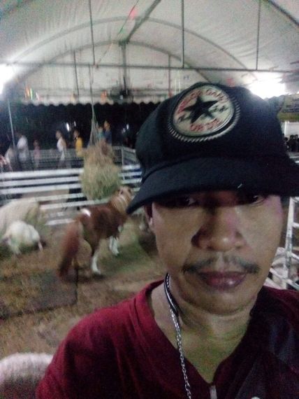 แชท หากิ๊ก, โสด 