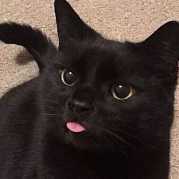 chat looking for friends 