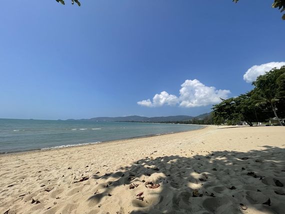 chat find love, chat 