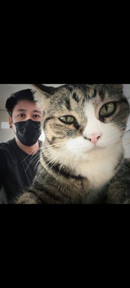 แชท หาแฟน, หาเพื่อนคุย 