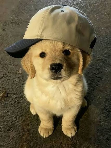 chat looking for friends 