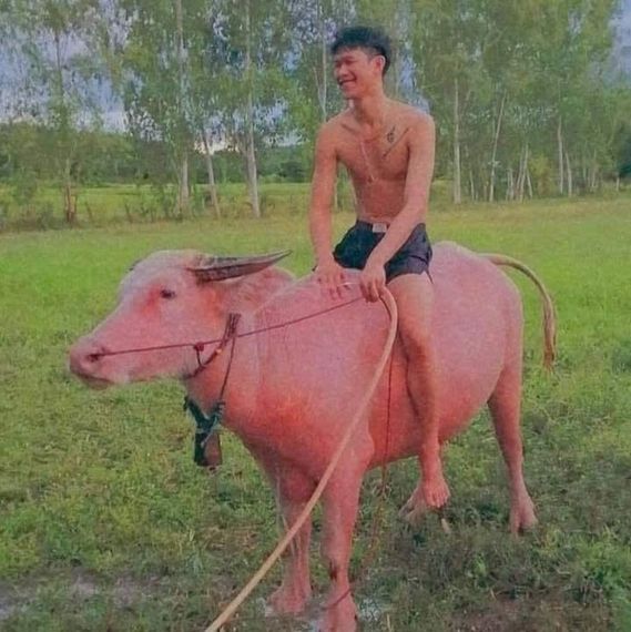 แชท หาเพื่อนคุย, โสด  ที่อยู่  สุรินทร์
