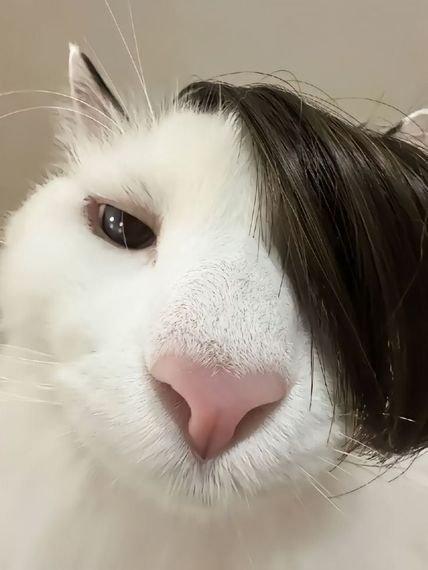 แชท หาแฟน, หาเพื่อนคุย 