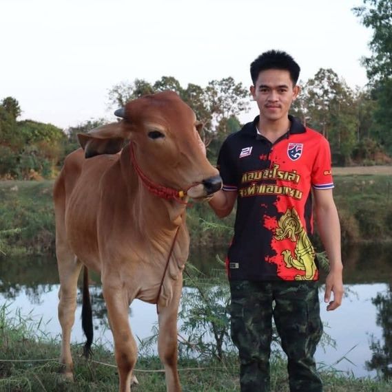 แชท หาแฟน, หาเพื่อนคุย 