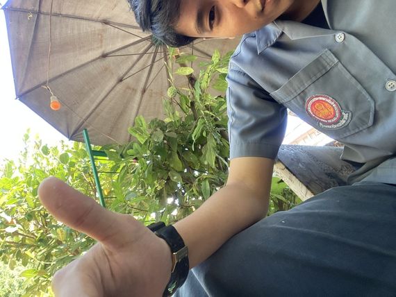 แชท หาเพื่อนคุย 