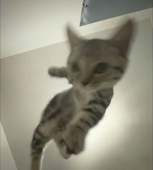 chat looking for friends 