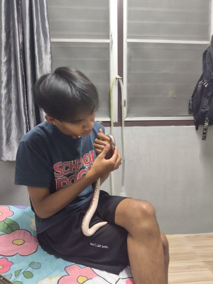 chat looking for friends 