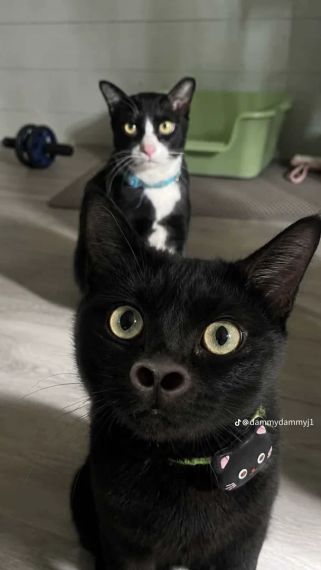แชท โสด  ที่อยู่  นครปฐม