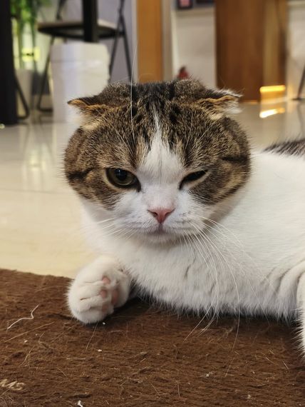 chat chat, find line friends  from Bangkok