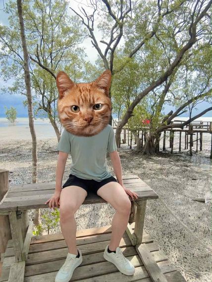 แชท หาเพื่อนคุย 