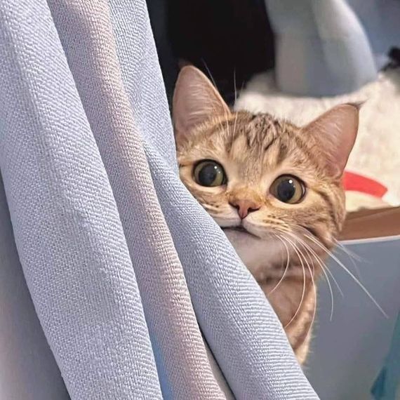 chat looking for friends 