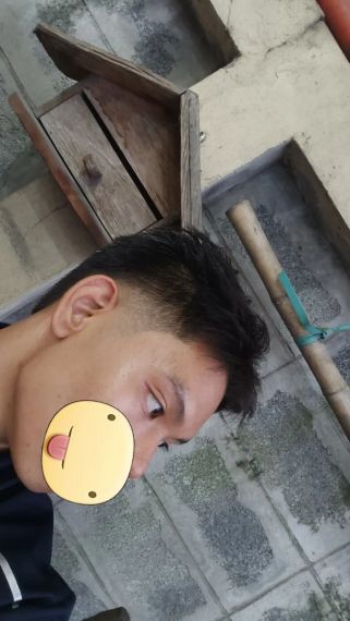 แชท โสด 