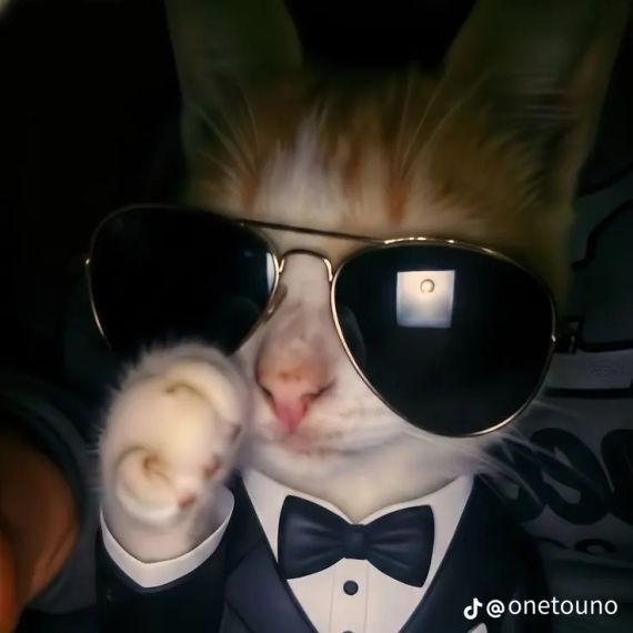 chat looking for friends
