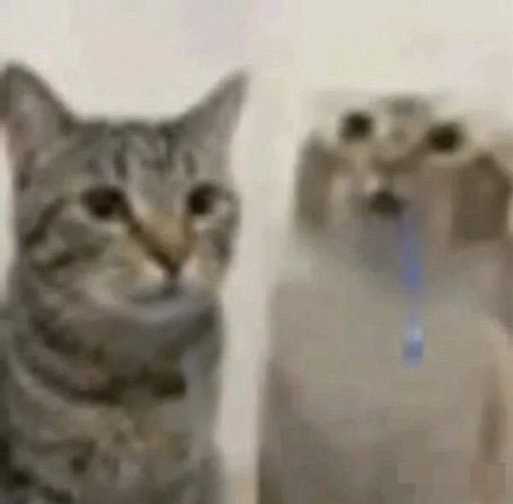 chat camera chat 