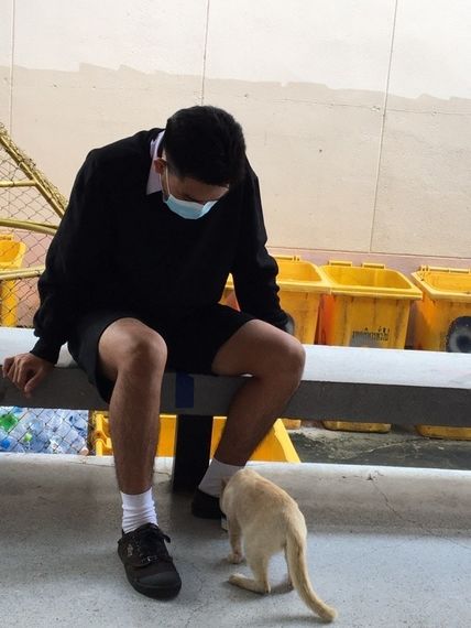 แชท หาเพื่อนคุย 