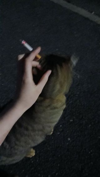 chat chat, single  from Bangkok