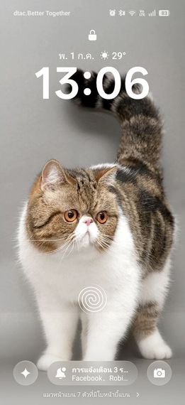 แชท หาเพื่อนคุย 