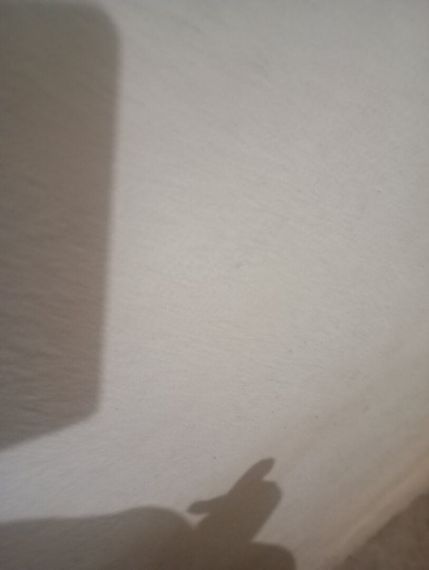 chat camera chat 