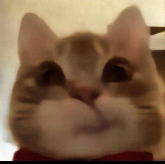 chat looking for friends  from Bangkok