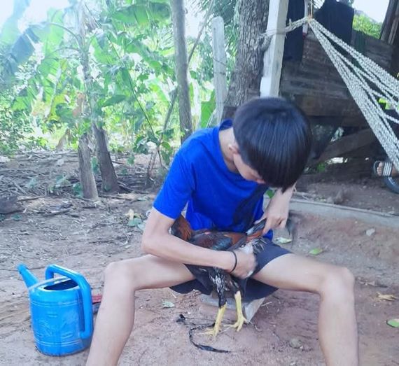 แชท หาแฟน, โสด  ที่อยู่  ขอนแก่น