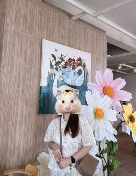 แชท หาเพื่อนคุย