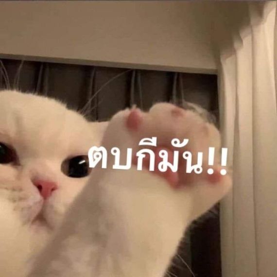แชท หาแฟน, หาเพื่อนคุย 